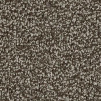 Vorwerk Calla Teppichboden – Farbe 7H53 muskat – Draufsicht